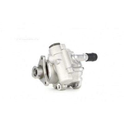 Direksiyon Pompası (Renault, Clio, Clio) (41463, 491100246R) Direksiyon Pompası (Renault, Clio, Clio) (41463, 491100246R)