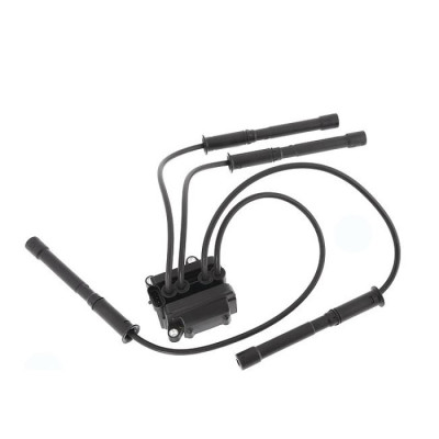 Ateşleme Bobini (Renault, Clio II, Clio III) (8200084401)