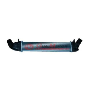 Turbo Intercooler (Dacia, Logan, MCV Duster Sandero) (6001548727)