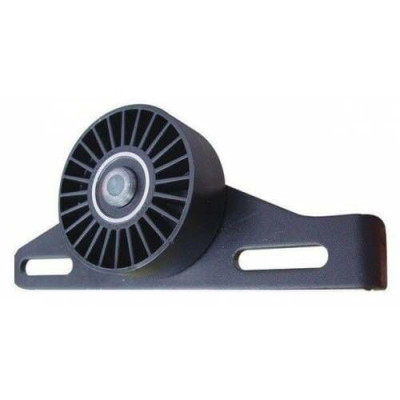 Alternatör Gergi Rulmanı (Renault, Clio, Kangoo) (7700105325, 20105, 7700105325-3) Alternatör Gergi Rulmanı (Renault, Clio, Kangoo) (7700105325, 20105, 7700105325-3)