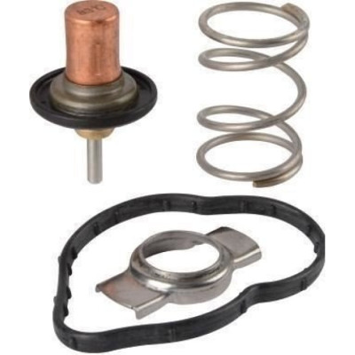 Termostat (Renault, Kadjar) (41794, 110602770R) Termostat (Renault, Kadjar) (41794, 110602770R)
