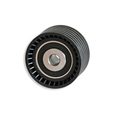 Alternatör Kayış Gergi Rulmanı (Renault, 2-II, 2-II) (117509654R, 8200048486, 20102) Alternatör Kayış Gergi Rulmanı (Renault, 2-II, 2-II) (117509654R, 8200048486, 20102)