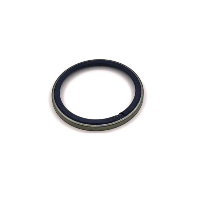 Abs Okuyucu Halka Arka Disk (Renault, Scenic, Megane) (SGM 44106, 432020984R) Abs Okuyucu Halka Arka Disk (Renault, Scenic, Megane) (SGM 44106, 432020984R)