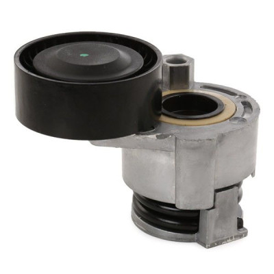 Alternatör Gergi Rulmanı (Renault, Clio, Megane) (117509654R, 8200048486) Alternatör Gergi Rulmanı (Renault, Clio, Megane) (117509654R, 8200048486)