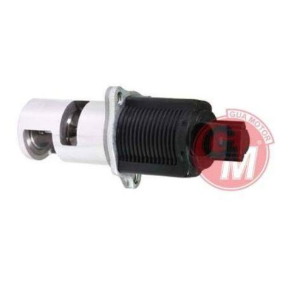 Egr Valfı (Renault, Clio, Kangoo) (41505, 8200004883) Egr Valfı (Renault, Clio, Kangoo) (41505, 8200004883)