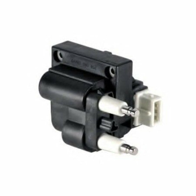 Ateşleme Bobini Beyaz 2.0 (7700863021)