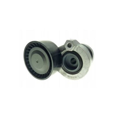 Alternatör Kayış Gergi Rulmanı (Renault, 2-II, 2-II) (117509654R, 8200048486, 20102)