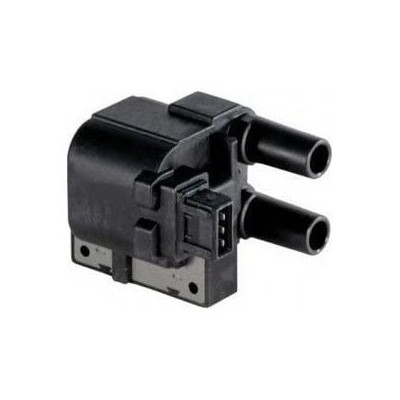 Benzin Yakıt Pompası (SGM 30107, ERJ197)