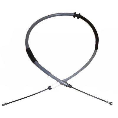 El Teli (Renault, Iii) (SGM 151119, 8200727571)