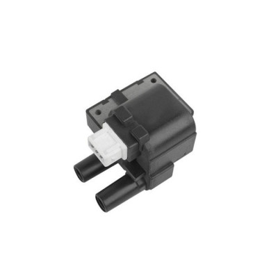 Ateşleme Bobini (Renault, Clio II, Kangoo) (E7J780, K7M)