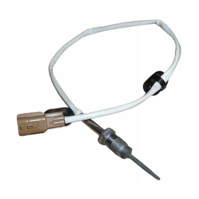 Egt Hava Sıcaklık Sensörü (Peugeot, 206, 307) (40760, 8200629249)