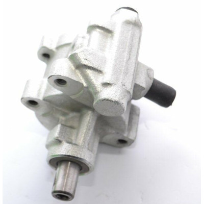 Direksiyon Pompası (Renault, 19, R21) (41084)