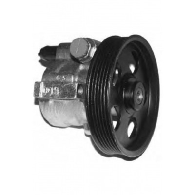 Direksiyon Pompası (Renault, Clıo, Clio) (6 8200024778)