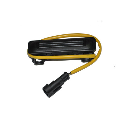 Bagaj Açma Butonu (III 09) (41174, 51829929)