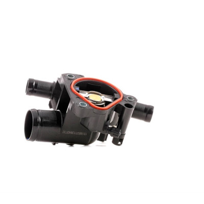 Termostat (Renault, Megane, Latitude) (41782, 8200907234)