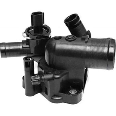 Termostat (Renault, Laguna II III, Megane II) (41795, 8200907243)