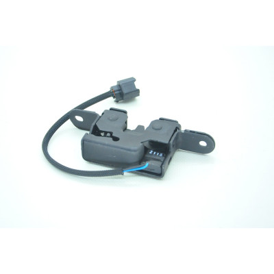 Motor Kaput Kilidi (Renault Fluence-Megane IIı-Master) (656010006R)