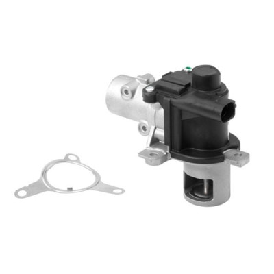 Valf (Renault, Megane, Laguna) (147102974R, 8684300873410, 2974R)